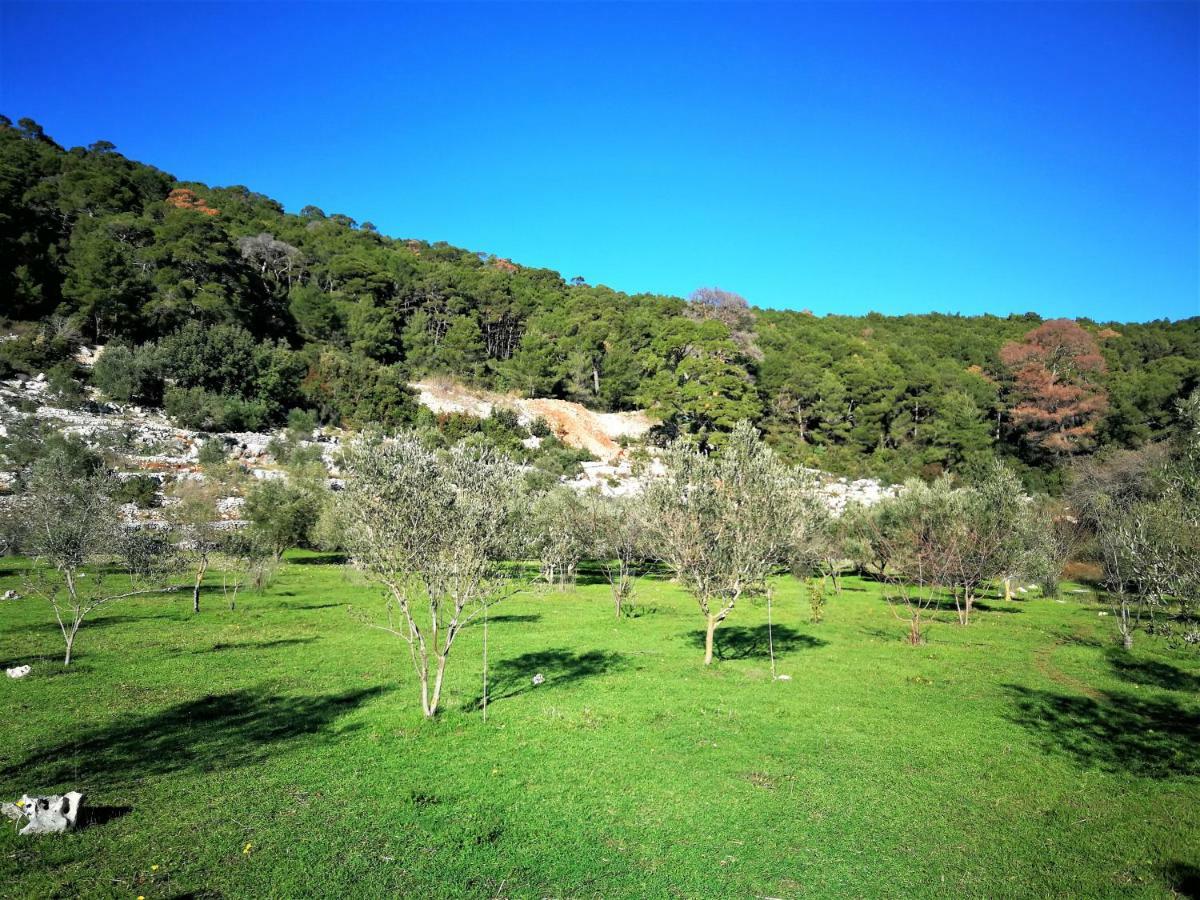 Agriculture & Holiday House Lasko Govedari Екстер'єр фото